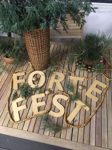 Приглашаем жителей Саратовской области на зимний «Forte Fest» 18 декабря